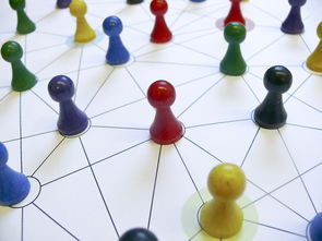 ac米兰 官网-中国篮球教练员领导力培养路径，中国篮球协会篮球教练员等级