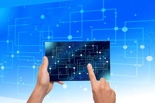 ac米兰 官网-中国篮球教练员领导力培养路径,中国篮球协会篮球教练员等级